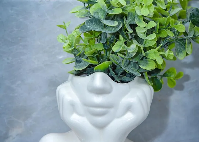 Suncani Horizonti Sokobanja